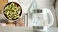 Perché i professionisti mettono il cardamomo nel tè prima ancora che l’acqua inizi a bollire